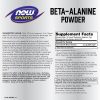 Now Foods Béta-alanin por 500 g  (500 g)