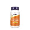 Now Foods Evening Primrose Oil - Ligetszépe Olaj 500 mg (100 Lágykapszula)