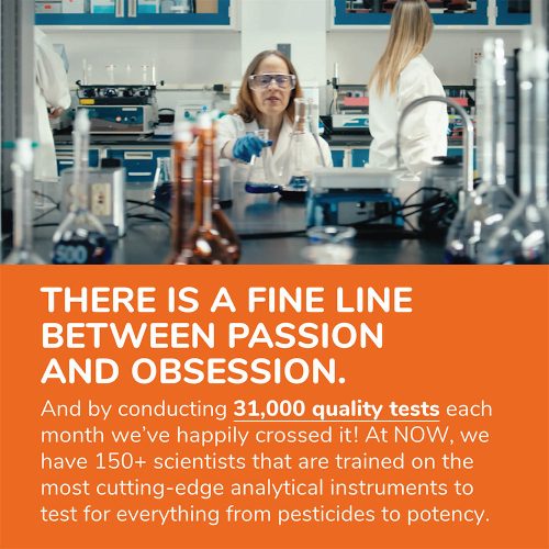 Now Foods Vitamin D-3 50,000 NE (50 Lágykapszula)