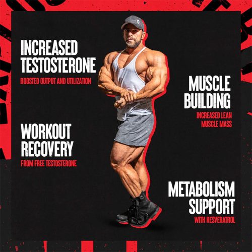 Universal Nutrition Animal Test - Tesztoszteronszint Növelő (21 Csomag)