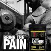 Universal Nutrition 100% Beef Aminos™ - Marhahús Izolátum Aminosav (400 Tabletta)