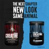 Universal Nutrition Animal Creatine - Kreatin-monohidrát por (500 g, Ízesítetlen)