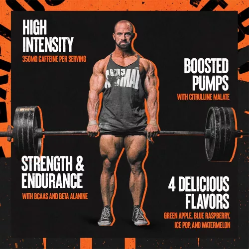 Universal Nutrition Animal Fury - Edzés Előtti Teljesítményfokozó (492 g, Kékmálna)