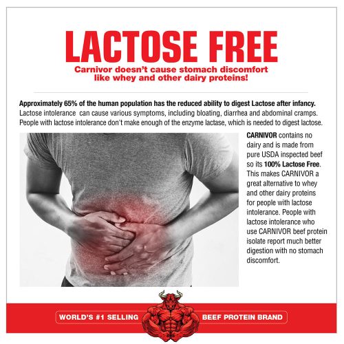 MuscleMeds Carnivor™ - Hidrolizált Marhafehérje (1624 g, Csokis Keksz és Krém )