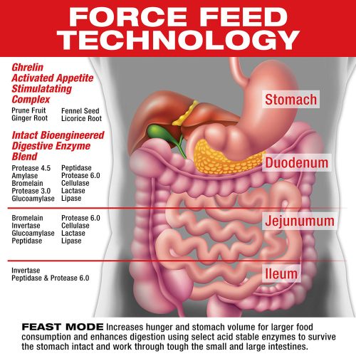 MuscleMeds Testsúly Növelést Segítő Formula - Feast Mode (Appetite Stimulant) (90 Kapszula)