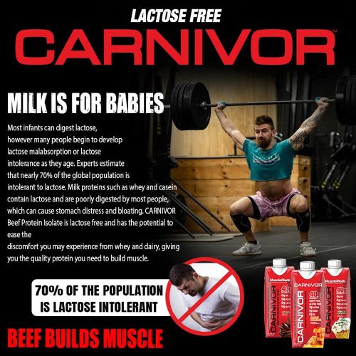 MuscleMeds Carnivor RTD - Marhafehérje Shake  (12 Csomag, Sós Karamella)