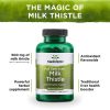 Swanson Milk Thistle - Máriatövis Kivonat (100 Kapszula)