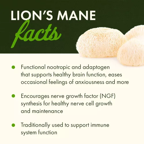 Swanson Lion's Mane Mushroom - Oroszlánsörény-gomba Kapszula (60 Kapszula)