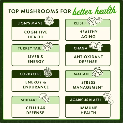 Swanson Lion's Mane Mushroom - Oroszlánsörény-gomba Kapszula (60 Kapszula)