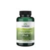 Swanson Full Spectrum Chasteberry Fruit - Barátcserje 400 mg (120 Kapszula)