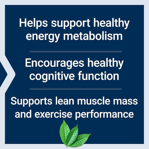 Life Extension Creatine & Acetyl-L-Carnitine Energy Plus (233 g)