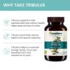 Himalaya Organic Tribulus (60 Kapszula)