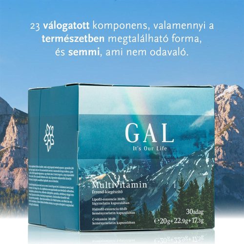 GAL Multivitamin (60.2 g)