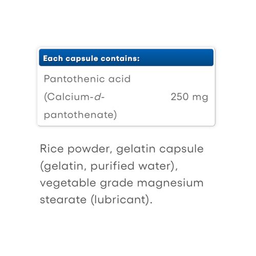 Natural Factors Pantoténsav 250 mg (90 Kapszula)