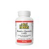 Natural Factors Bioactive Quercetin EMIQ 50 mg (60 Kapszula)
