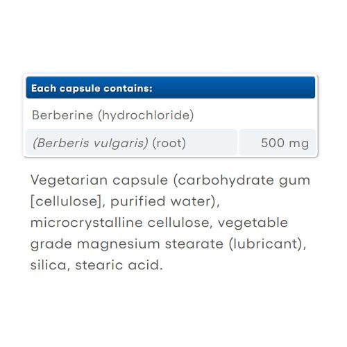 Natural Factors WellBetX Berberine 500 mg (60 Kapszula)