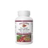 Natural Factors Super Strength Grape Seed Extract 100 mg - Szőlőmag Kivonat (90 Kapszula)