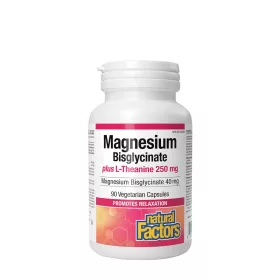   Natural Factors Magnesium Bisglycinate 100 plus L-Theanine 250 mg (90 Kapszula)