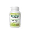 Natural Factors Berberine LipoMicel Matrix (60 Lágykapszula)